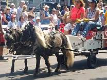 20180704_14gayparade.jpg
