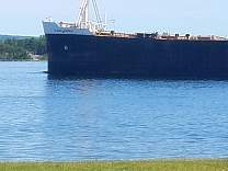 0135algomabuffalopassingcampsite.jpg
