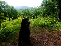 0603overlookhike.jpg
