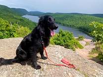 0801lakeoftheclouds.jpg