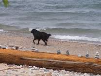 20200610_1cpwaves.jpg