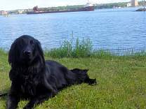 20200613_21agatekayeebarker.jpg