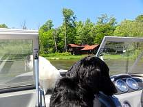 20200618_6gratiotlakeboatride.jpg