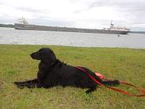 20200624_31ojibway.jpg