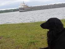 20200624_32ojibway.jpg
