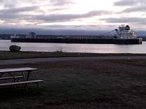 20210509_060332.jpg