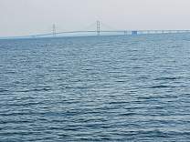20230604_171218.jpg