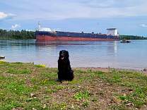 20230708_3algomaequinoxrotarypkup.jpg