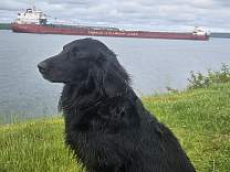 20240606_175019.jpg