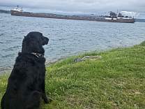 20240607_131107.jpg