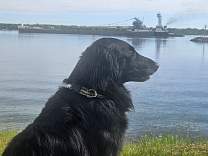 20240608_094709.jpg