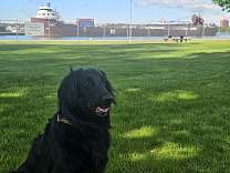 20240608_180037.jpg