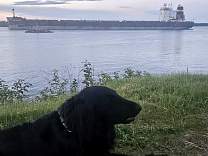 20240608_213526.jpg