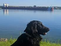 20240611_083918.jpg