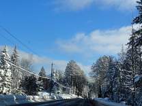 dsc00833.jpg