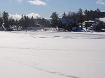 dsc00845.jpg