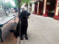 20170604_02downtowntc.jpg