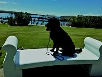20170605_03marquettepark.jpg