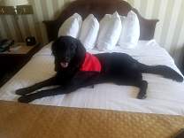 0110agatebayshoreresort.jpg