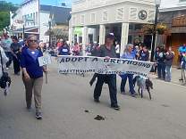 0405greyhoundrescue_164855.jpg
