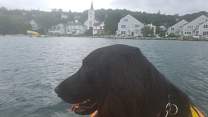 20200710_3steanne.jpg