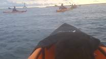 20200710_6kayak.jpg