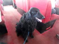 102002ferryride.jpg