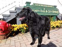 102102communityhall.jpg