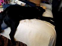 102530tiredagate.jpg