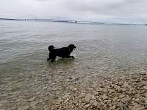 102401agatelakemichigan.jpg