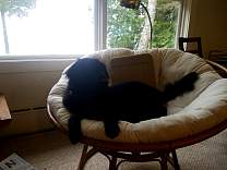 102503agatefindsachair.jpg