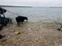 102601agatelakehuron.jpg