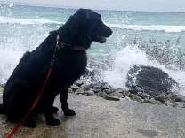 20191011_03activelakehuron.jpg