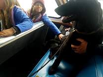 20191013_01ferryhome.jpg