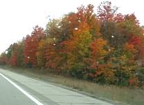 20191013_02fallcolors.jpg