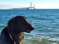 20211014_bridge.jpg