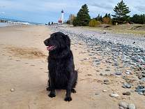 20211015_crisppointbeach.jpg