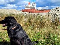 20211016_oakglenrockcut3.jpg