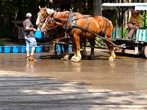 0108horsewater.jpg