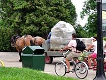 0124haydelivery.jpg