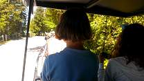 209drivingcarriage.jpg