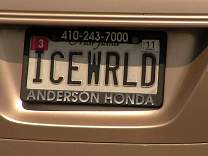 licplate4.jpg