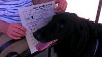 50minatdogstreetpub.jpg