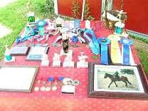 Display table