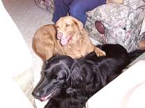 03_101902_11pennychessie.jpg