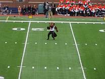 13_05osubeaver.jpg