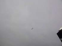 13_18flyover.jpg