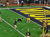 20260905_221109.jpg
