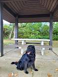 22_12nebrminookailthreeriversrestarea20211008.jpg