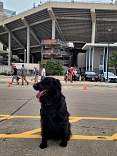 22_17nebroutsidestadium20211009.jpg